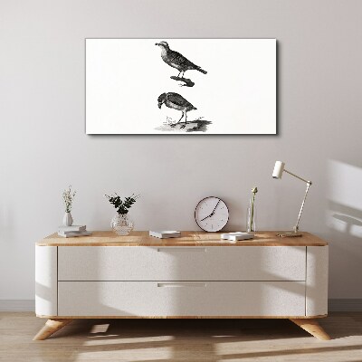 Drawing animals birds Canvas Wall art