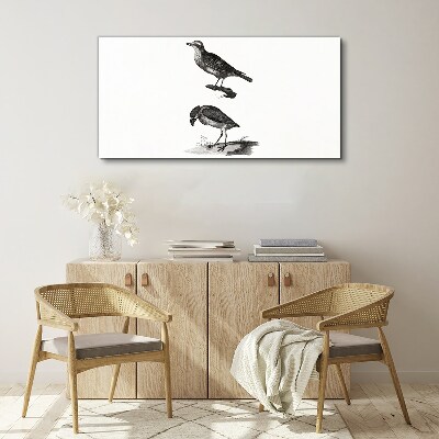 Drawing animals birds Canvas Wall art