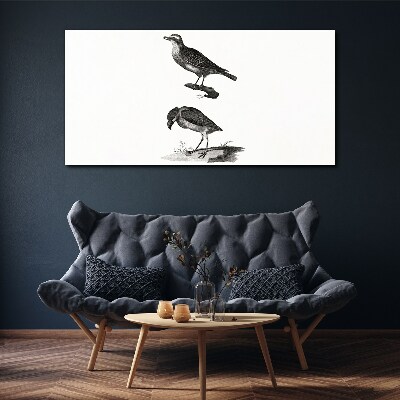 Drawing animals birds Canvas Wall art