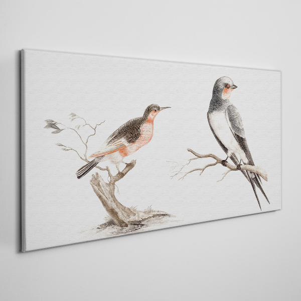 Drawing animals birds Canvas Wall art