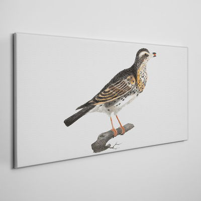 Figure animal bird branch Canvas Wall art