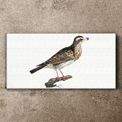 Figure animal bird branch Canvas Wall art