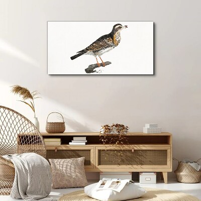 Figure animal bird branch Canvas Wall art