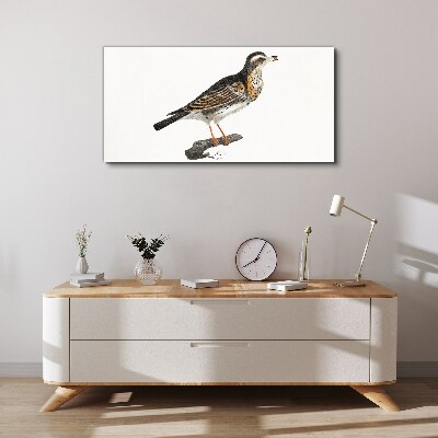 Figure animal bird branch Canvas Wall art