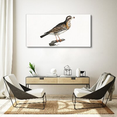 Bird on a branch Canvas wall art