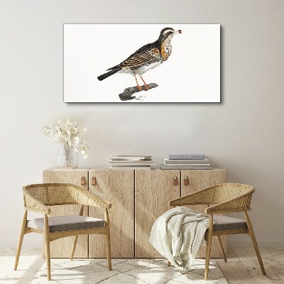 Bird on a branch Canvas wall art