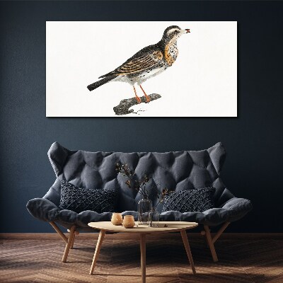 Figure animal bird branch Canvas Wall art