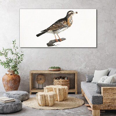 Figure animal bird branch Canvas Wall art