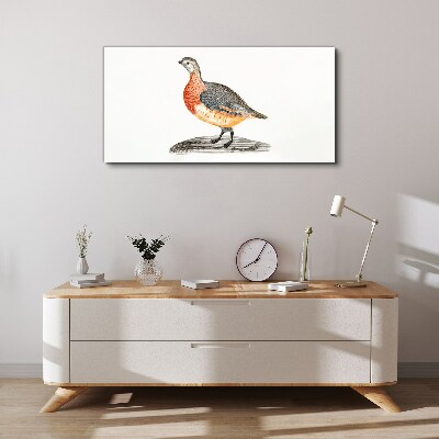 Drawing animal bird Canvas Wall art