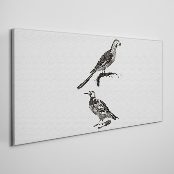 Drawing animals birds Canvas Wall art