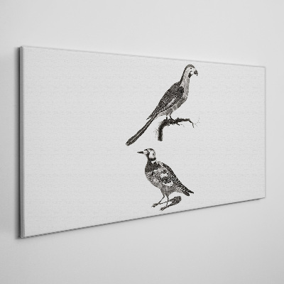 Drawing animals birds Canvas Wall art