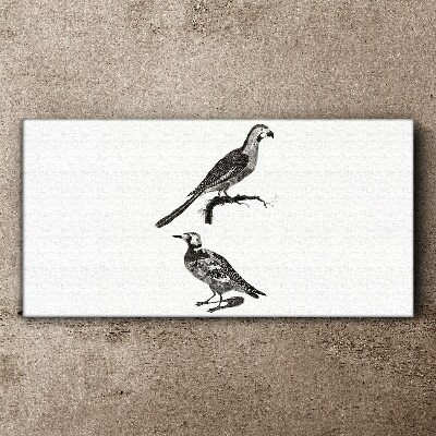 Drawing animals birds Canvas Wall art