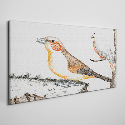 Drawing animals birds Canvas Wall art