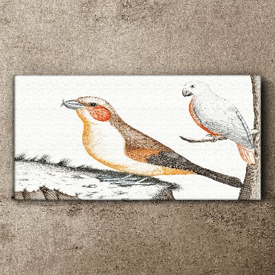 Drawing animals birds Canvas Wall art