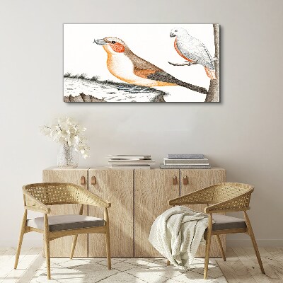 Drawing animals birds Canvas Wall art