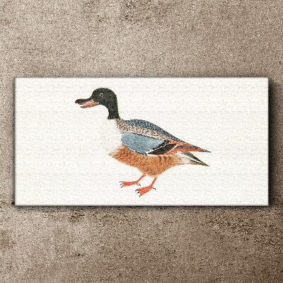 A duck in a colorful coat Print on canvas