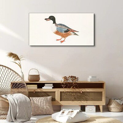 A duck in a colorful coat Print on canvas