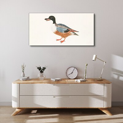 A duck in a colorful coat Print on canvas