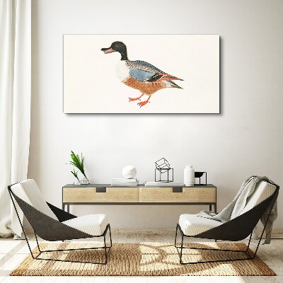 A duck in a colorful coat Print on canvas