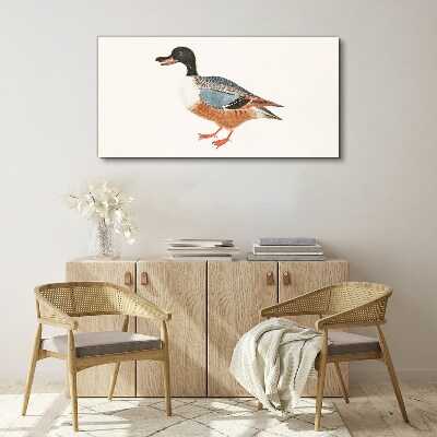A duck in a colorful coat Print on canvas