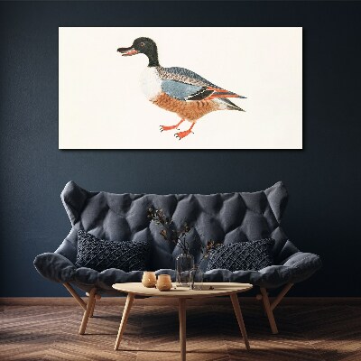 A duck in a colorful coat Print on canvas