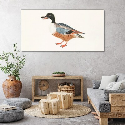 A duck in a colorful coat Print on canvas