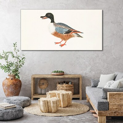 Drawing animal duck feathers Canvas Wall art