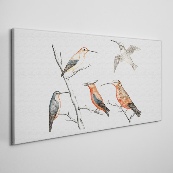Colorful birds on a branch Canvas wall art