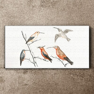 Colorful birds on a branch Canvas wall art