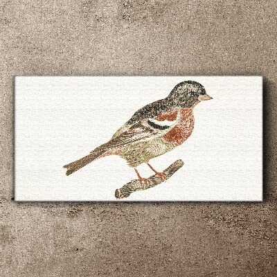 Bird on a branch Canvas wall art