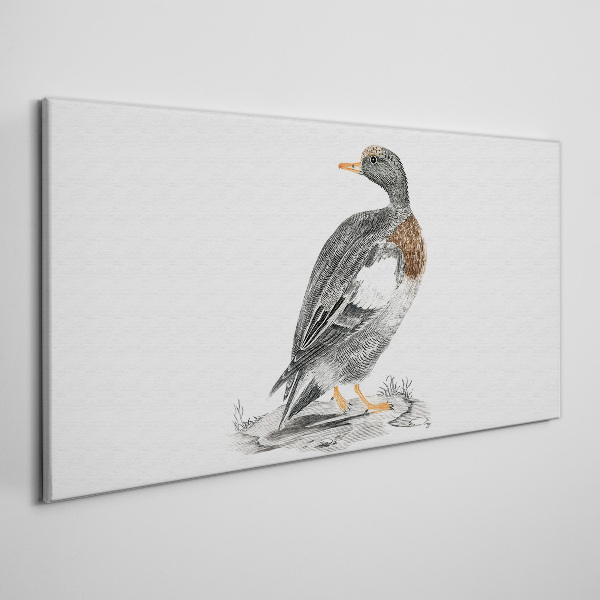 Duck on a white background Canvas wall art