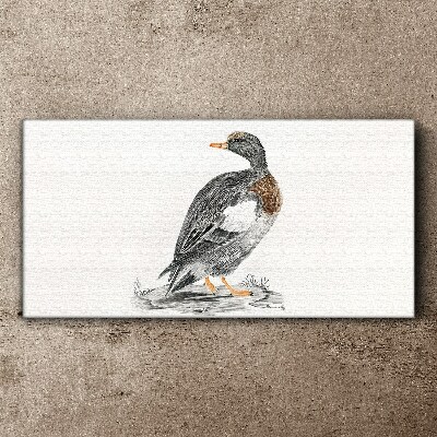 Duck on a white background Canvas wall art