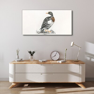 Duck on a white background Canvas wall art