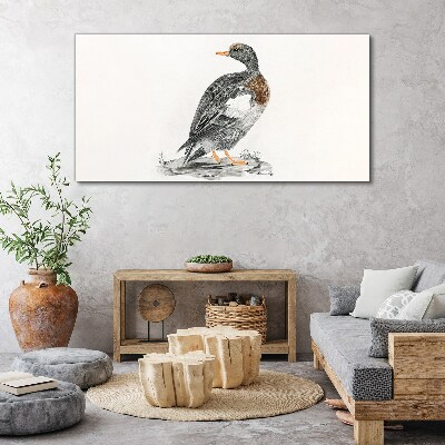 Duck on a white background Canvas wall art