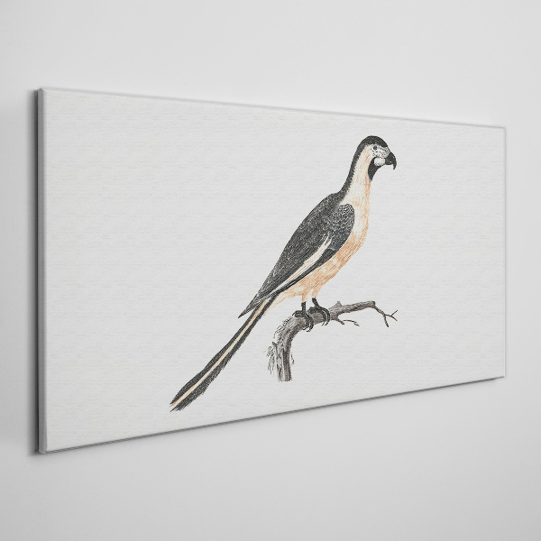 Bird on a branch Print on canvas