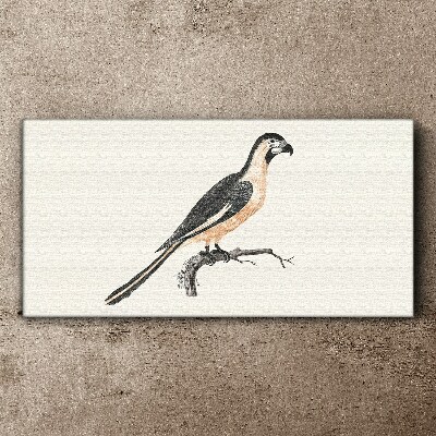 Bird on a branch Print on canvas