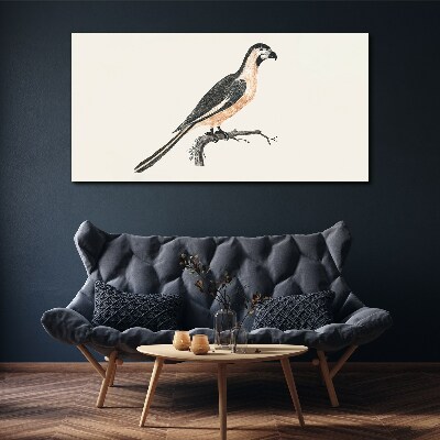Bird on a branch Print on canvas