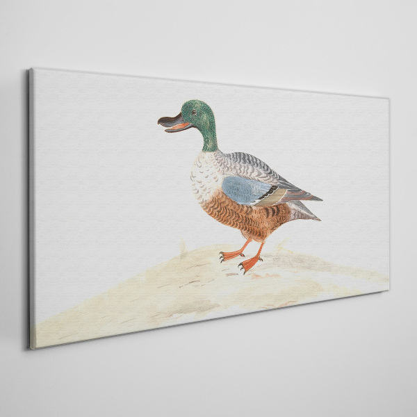 Duck against a background of delicate colors Canvas wall art