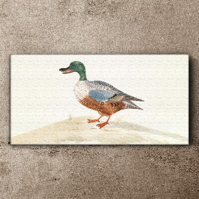 Duck against a background of delicate colors Canvas wall art