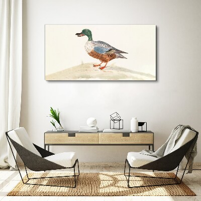 Drawing animal bird duck Canvas Wall art