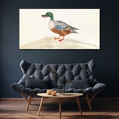 Drawing animal bird duck Canvas Wall art