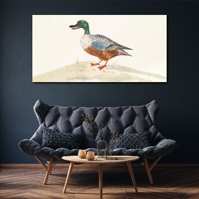 Duck against a background of delicate colors Canvas wall art