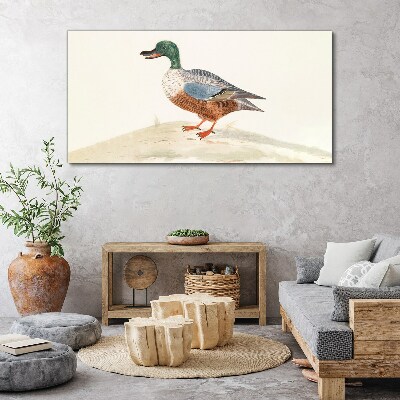 Duck against a background of delicate colors Canvas wall art