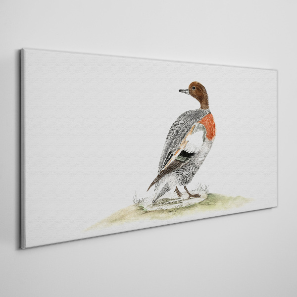 Duck on a natural background Print on canvas
