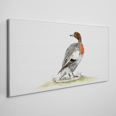 Drawing animal bird duck Canvas Wall art