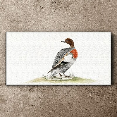 Duck on a natural background Print on canvas
