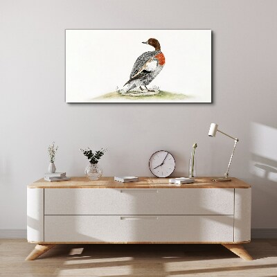 Drawing animal bird duck Canvas Wall art