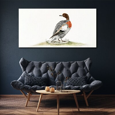 Duck on a natural background Print on canvas