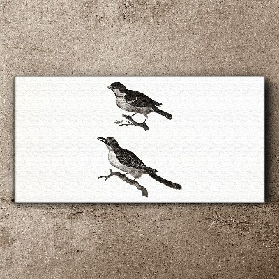 Birds on a branch Canvas wall art