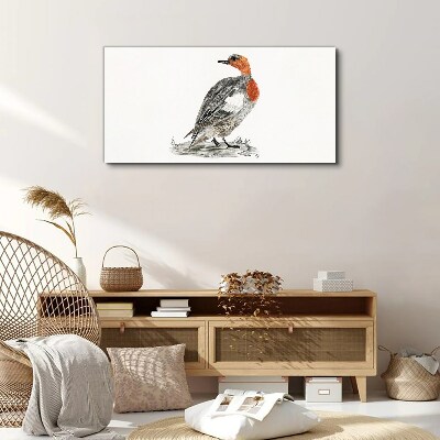 Red-breasted duck on white background Print on canvas